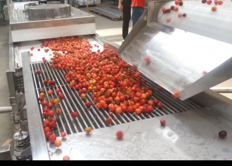 Washing and sorting line